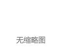 多伦多猛龙队